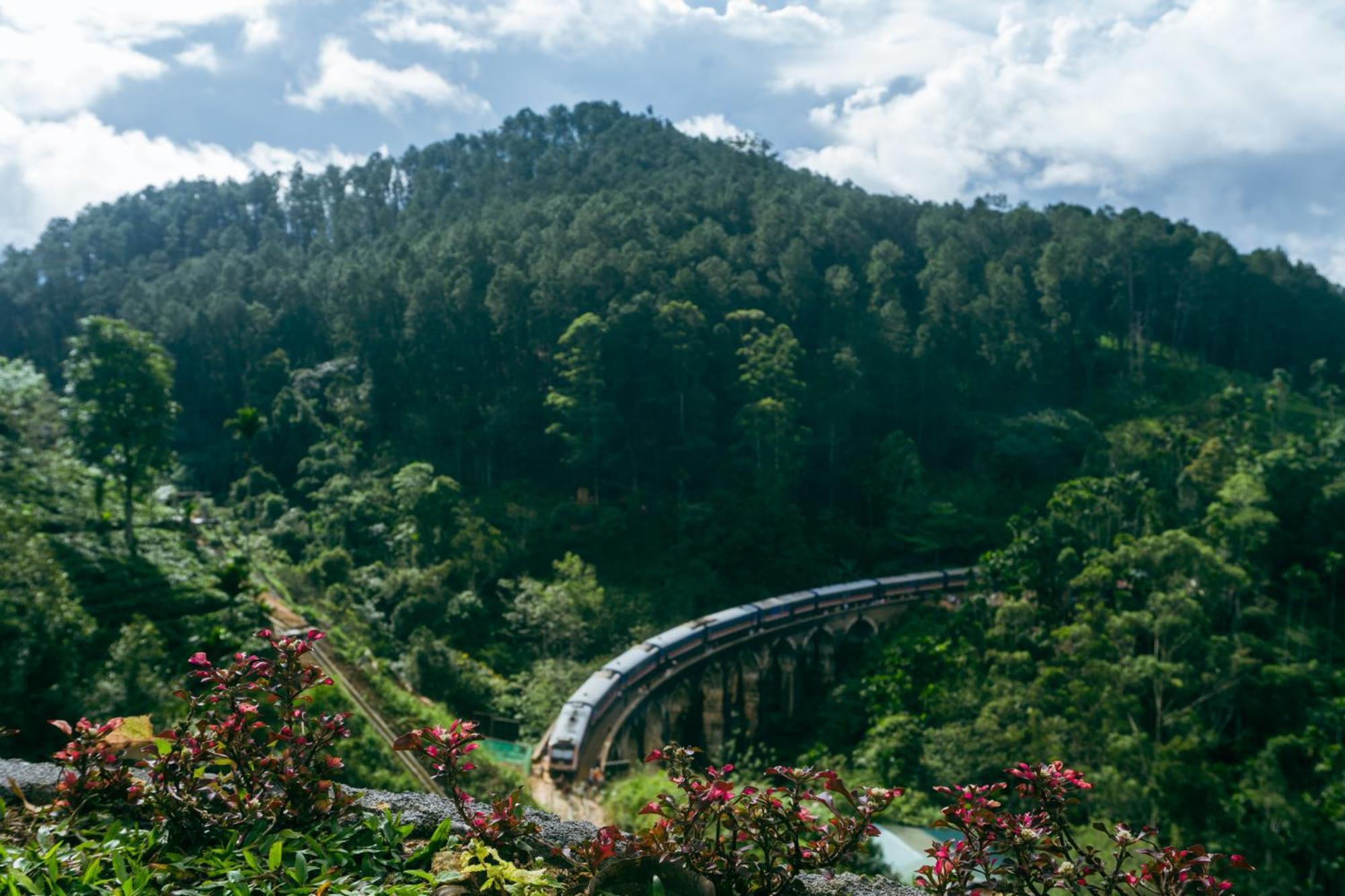 エッラ Hobbit Hole Hideaway Bed & Breakfast エクステリア 写真